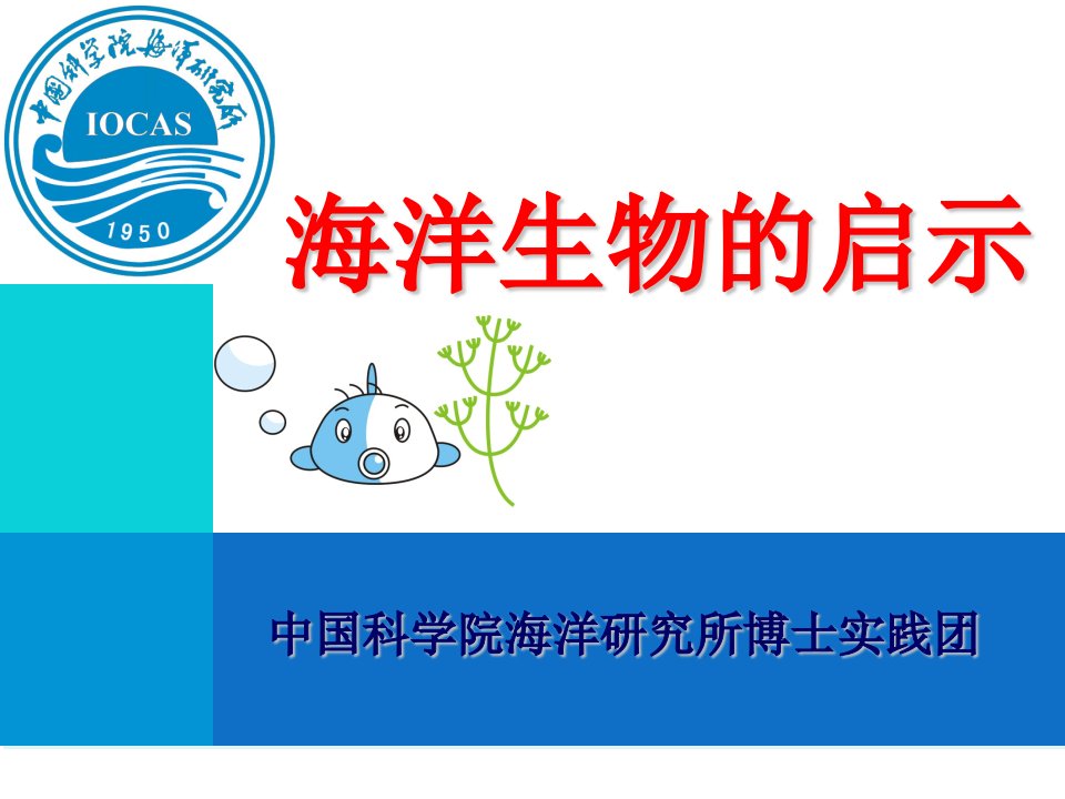 海洋生物的启示市公开课一等奖市赛课获奖课件