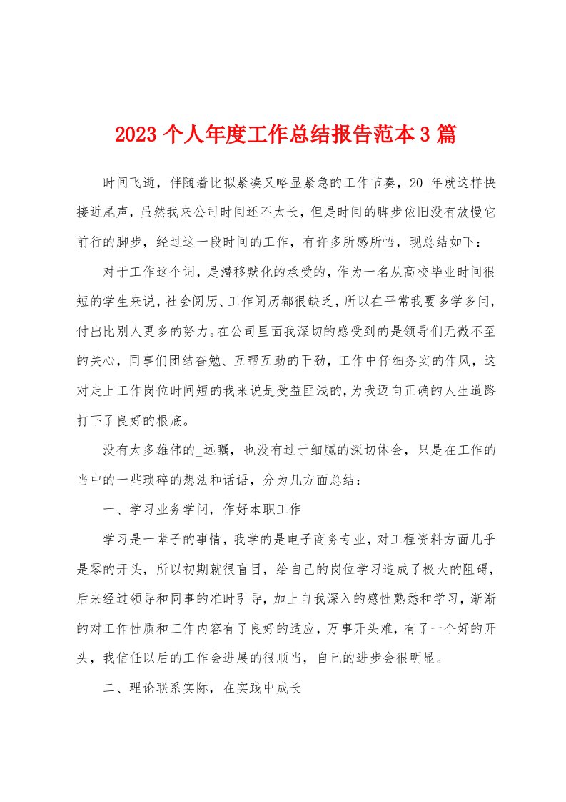 2023年个人年度工作总结报告范本