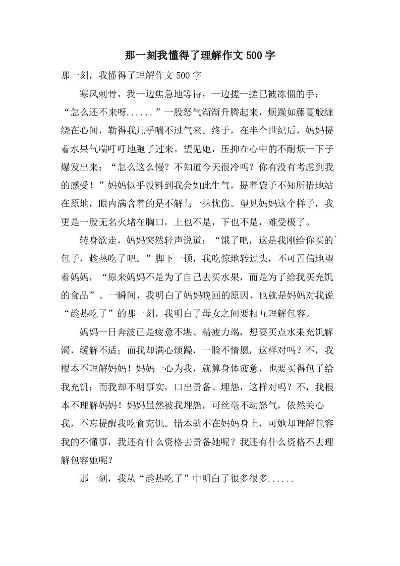 那一刻我懂得了理解作文500字