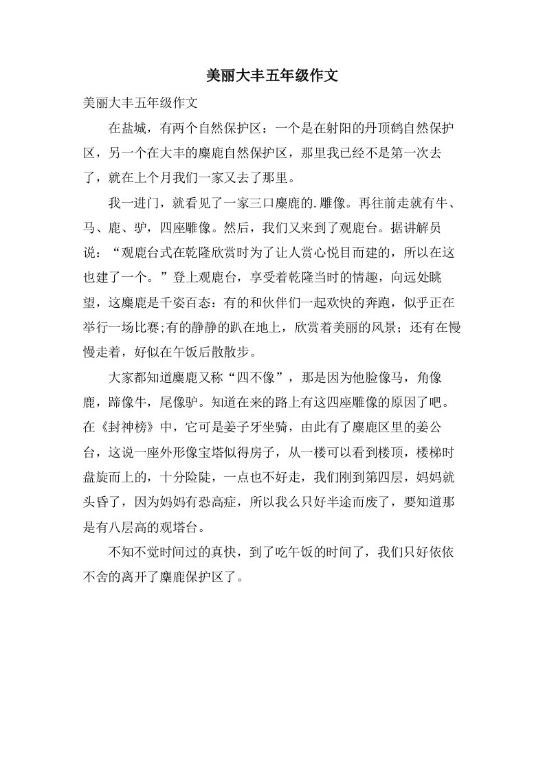 美丽大丰五年级作文