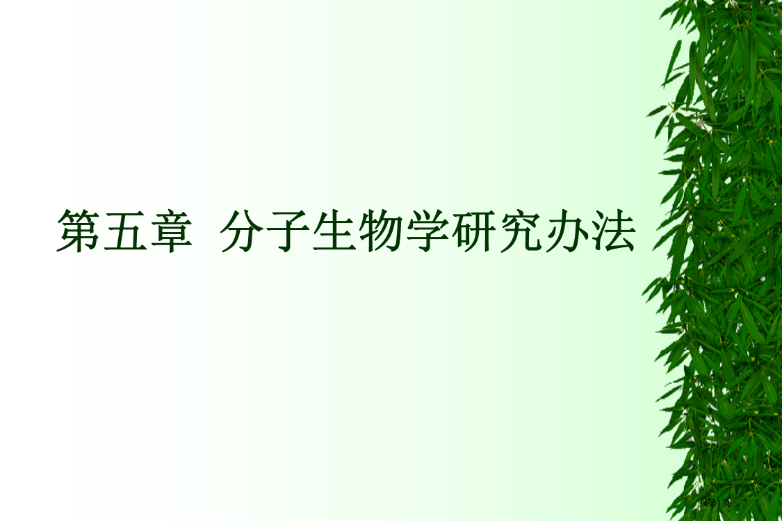 分子生物学基础了解公开课一等奖优质课大赛微课获奖课件