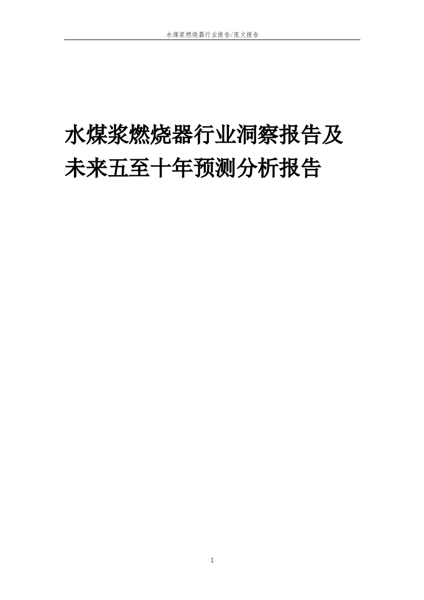 2023年水煤浆燃烧器行业洞察报告及未来五至十年预测分析报告