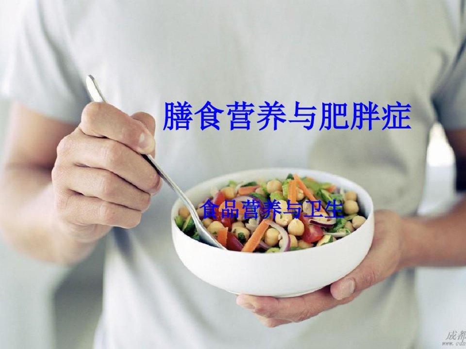 膳食营养与肥胖症-PPT资料27页