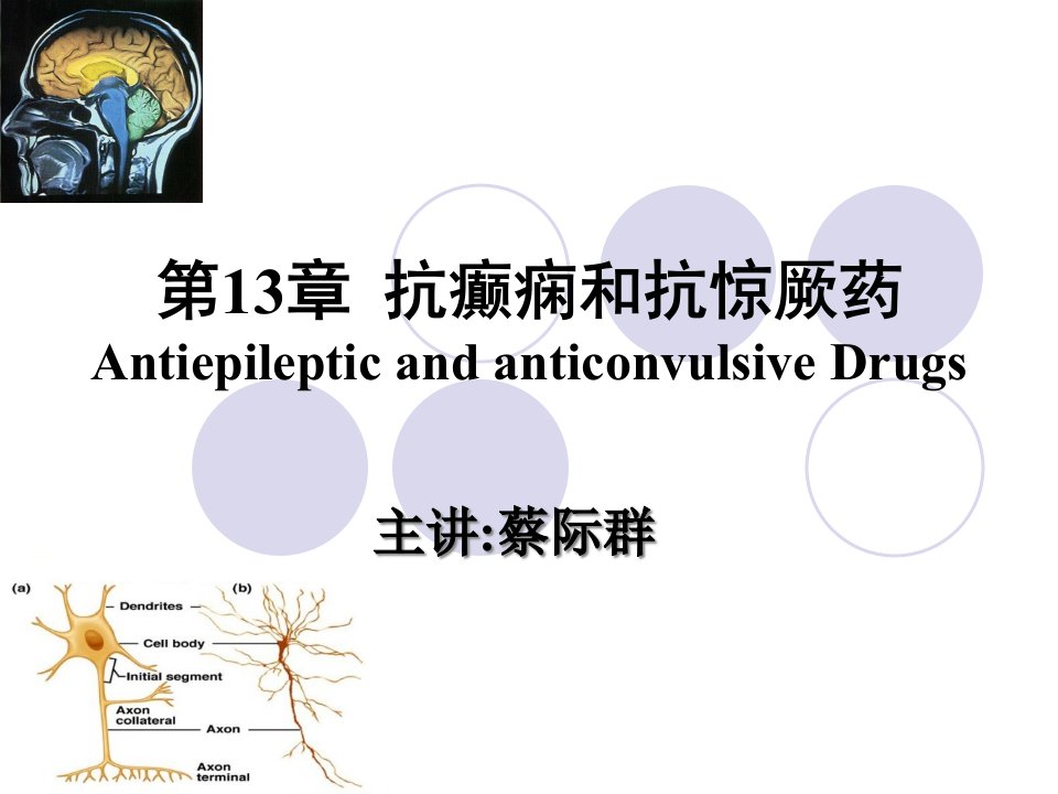 第13章抗癫痫与抗惊厥药中国医科大学网络教育学院网络