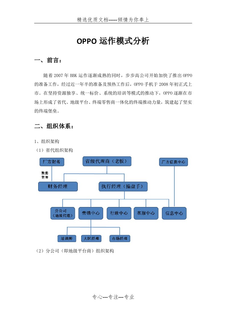 OPPO运作模式分析(共6页)