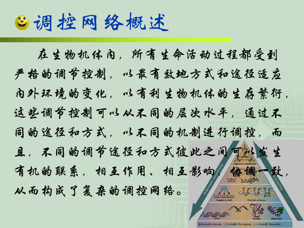 在基因组水平上探索基因表达的代谢和遗传控制