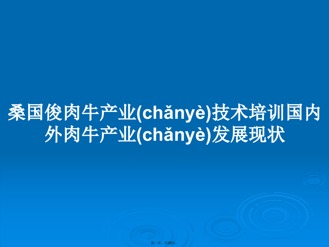 桑国俊肉牛产业技术培训国内外肉牛产业发展现状学习教案