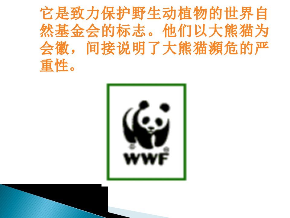 初中一年级语文下册第四单元(动物世界)17、国宝——大熊猫(叶永烈)第一课时课件