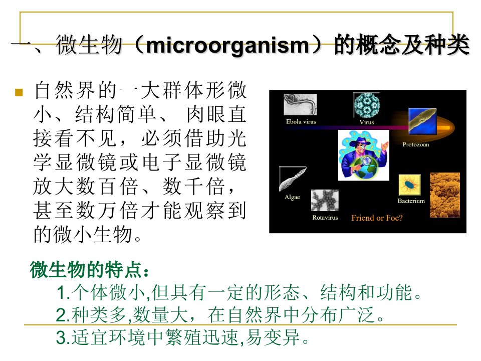 医学微生物概述.ppt课件