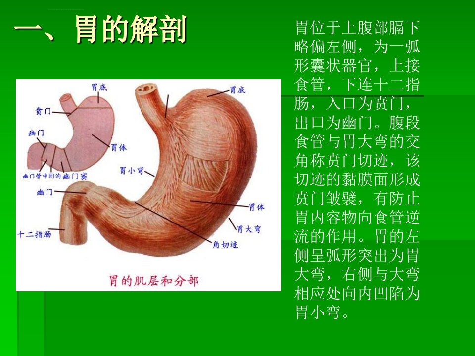 一例胃穿孔护理查房ppt课件