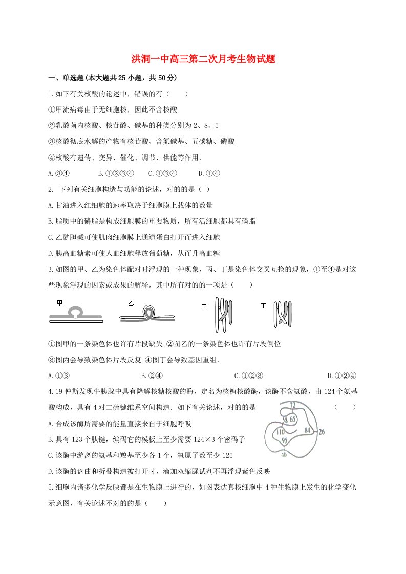 山西省洪洞县第一中学高三生物上学期第二次月考试题