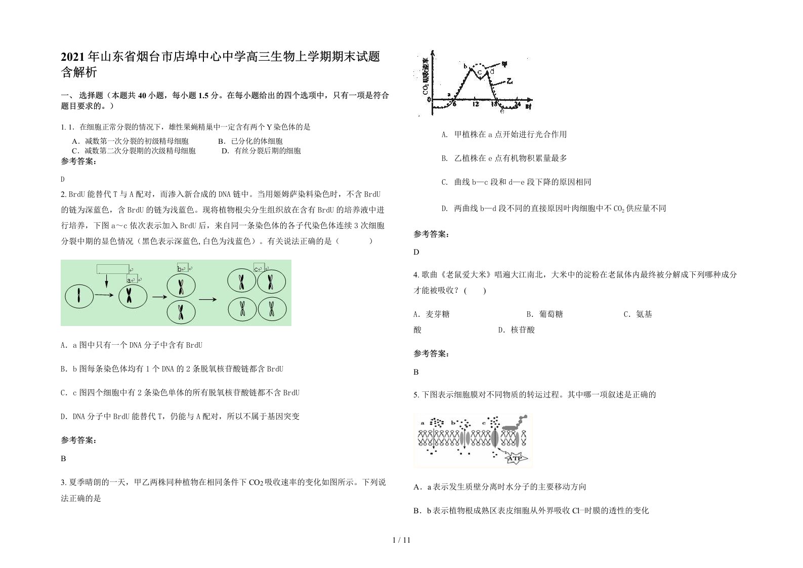 2021年山东省烟台市店埠中心中学高三生物上学期期末试题含解析