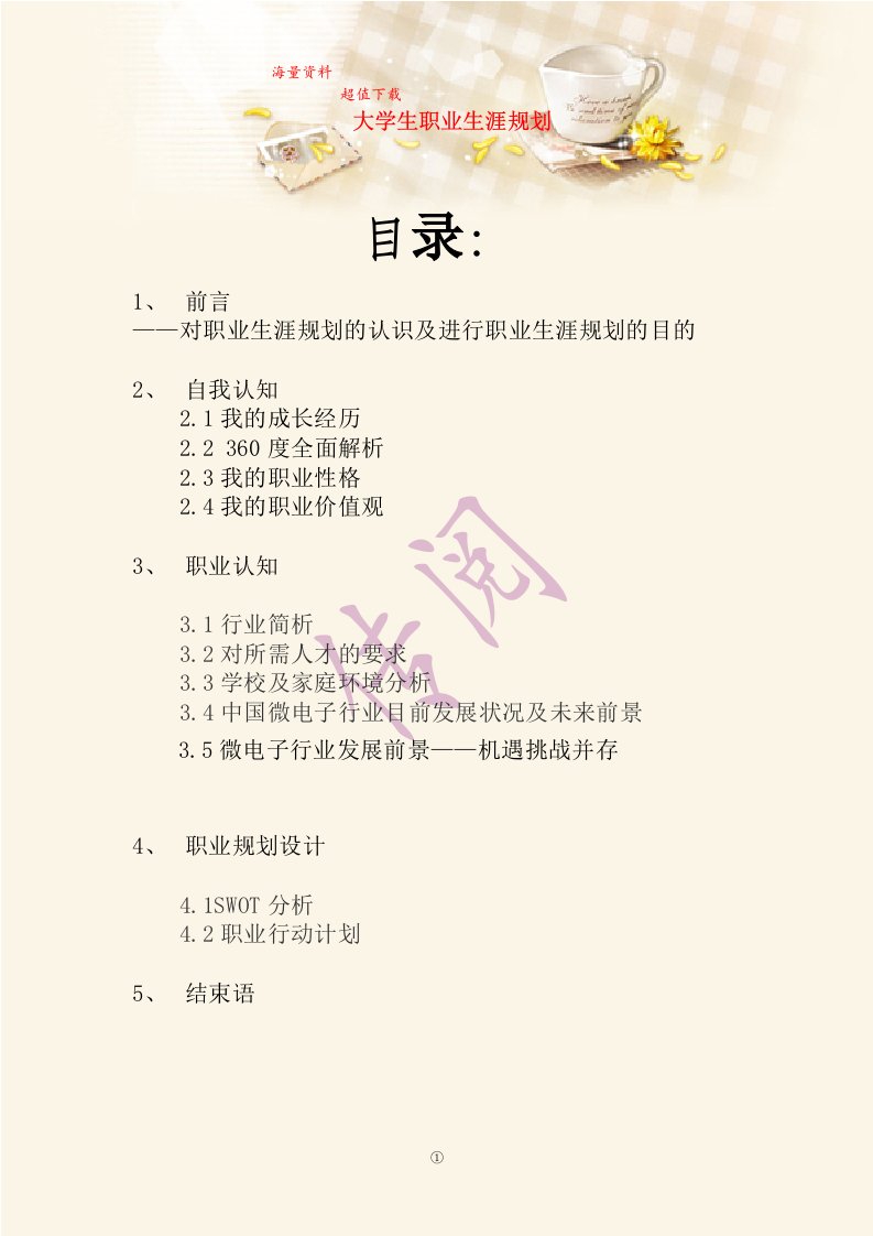 大学生职业生涯规划(2)