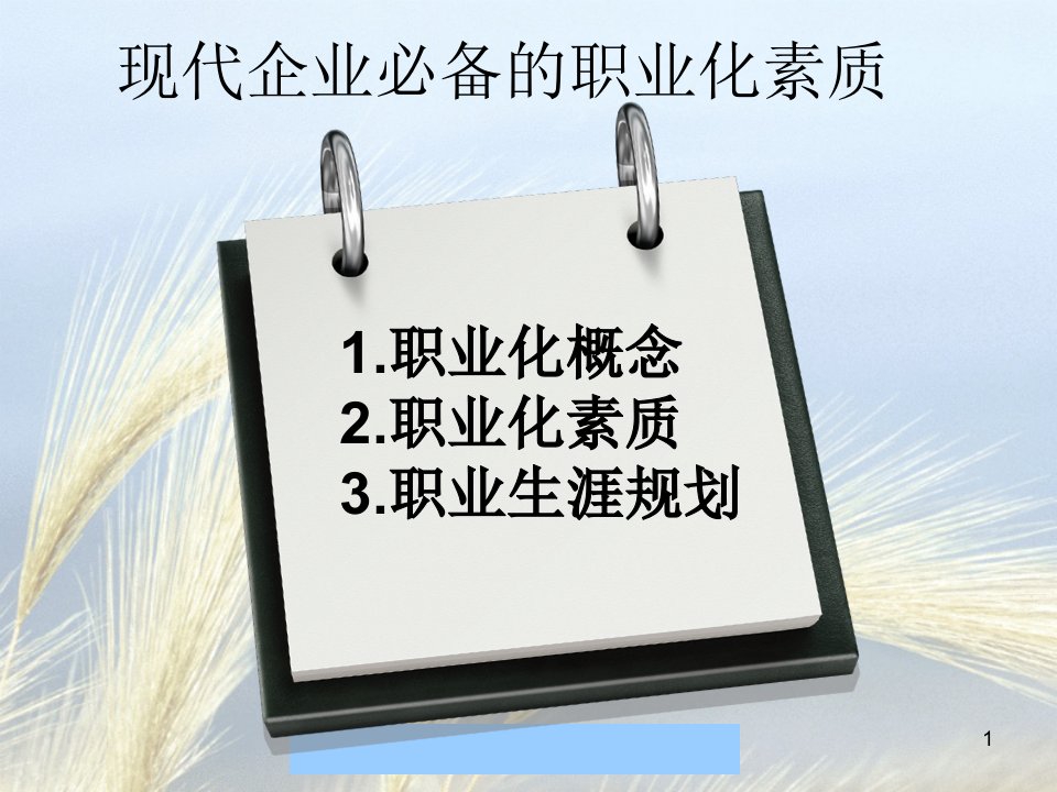 现代企业必备的职业化素质——刘震--wucongrong