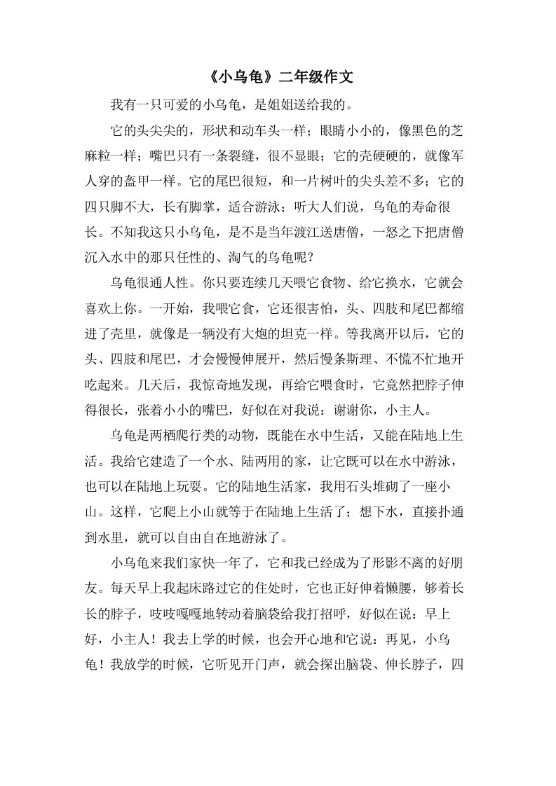 《小乌龟》二年级作文