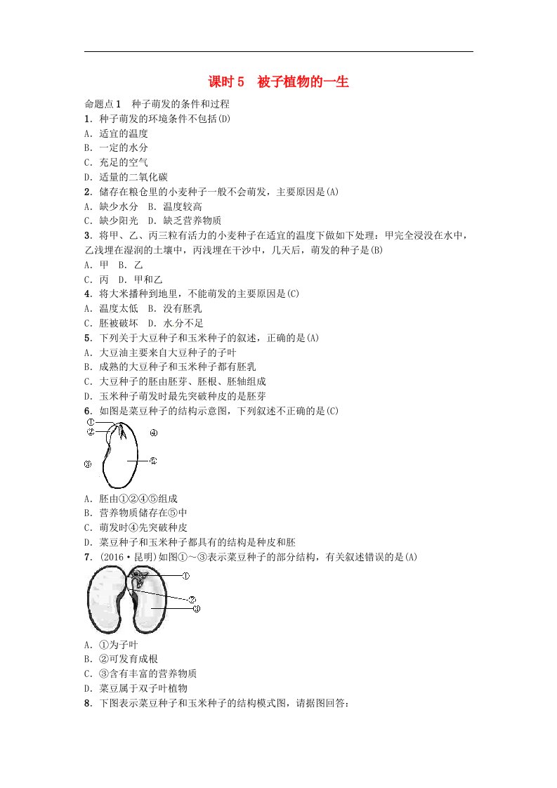 2021年中考生物教材考点梳理复习课时5被子植物的一生