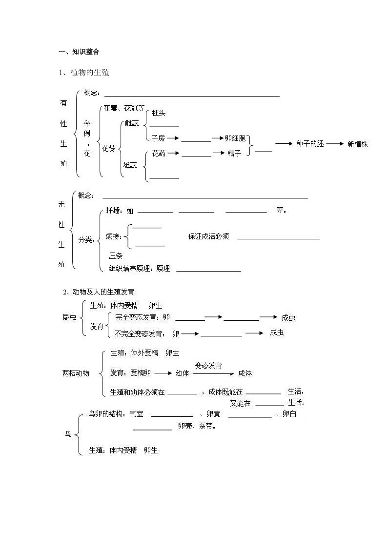 中考生物专题八