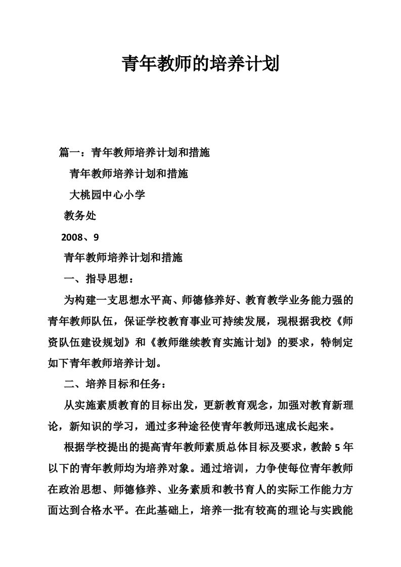 青年教师的培养计划