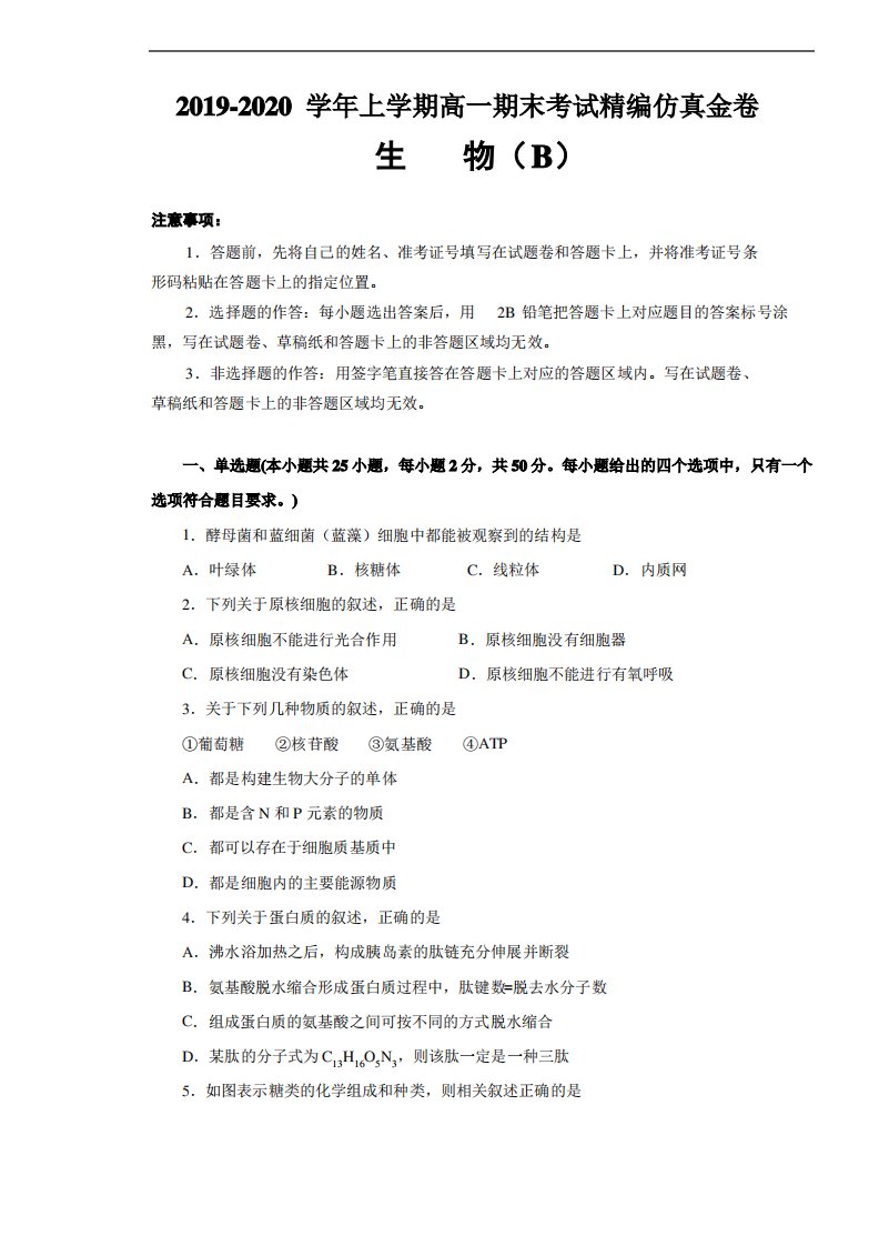 湖北名师联盟2019-2020学年高一上学期期末备考精编金卷生物试题(B卷)