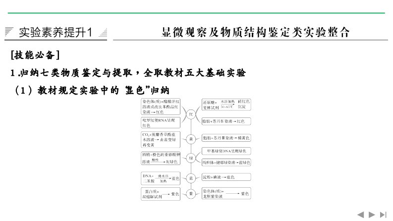 新高考生物（人教全国Ⅰ）复习课件：必修一第三单元