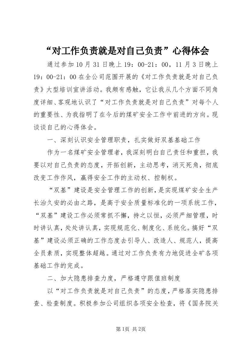 “对工作负责就是对自己负责”心得体会