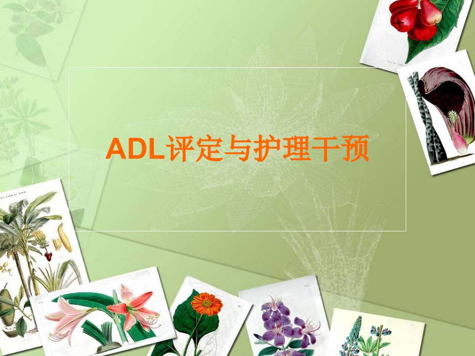 ADL评定与护理干预