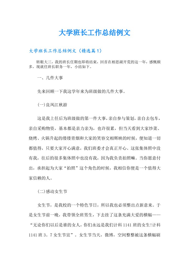 大学班长工作总结例文