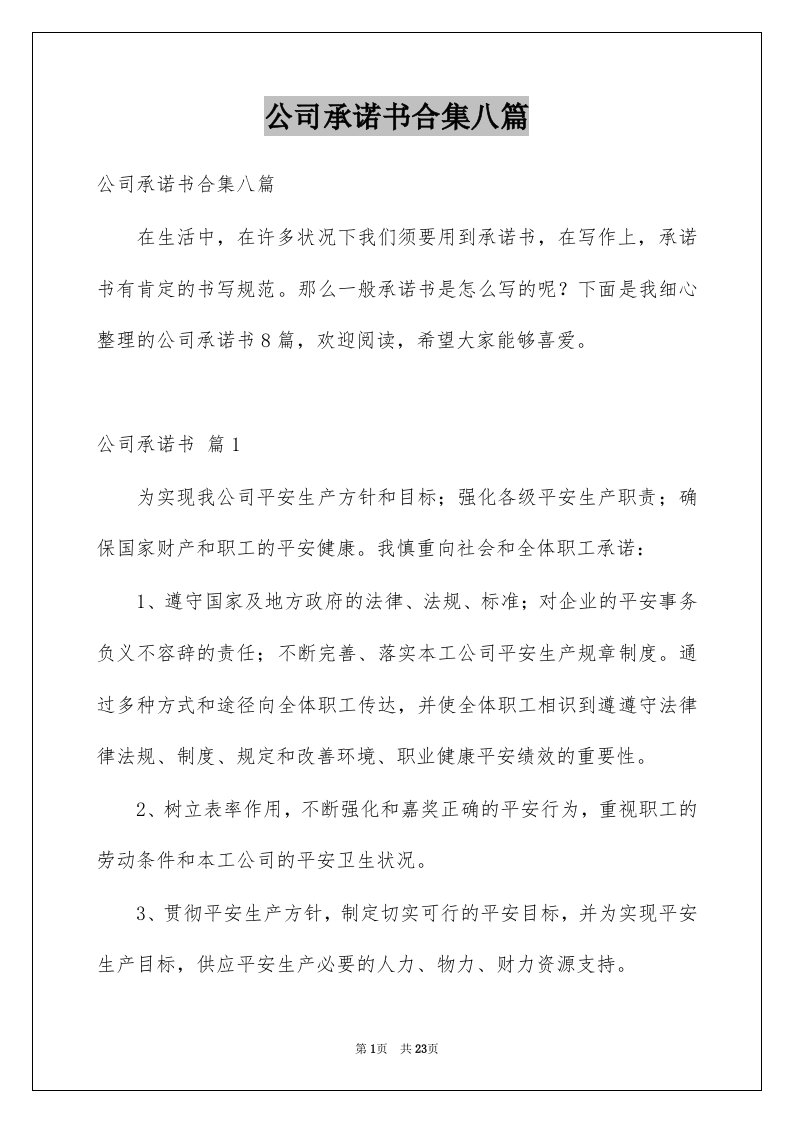 公司承诺书合集八篇例文