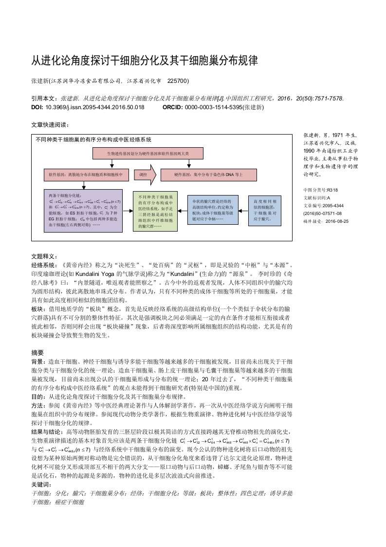 从进化论角度探讨干细胞分化与其干细胞巢分布规律