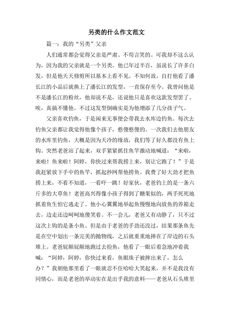 另类的什么作文范文