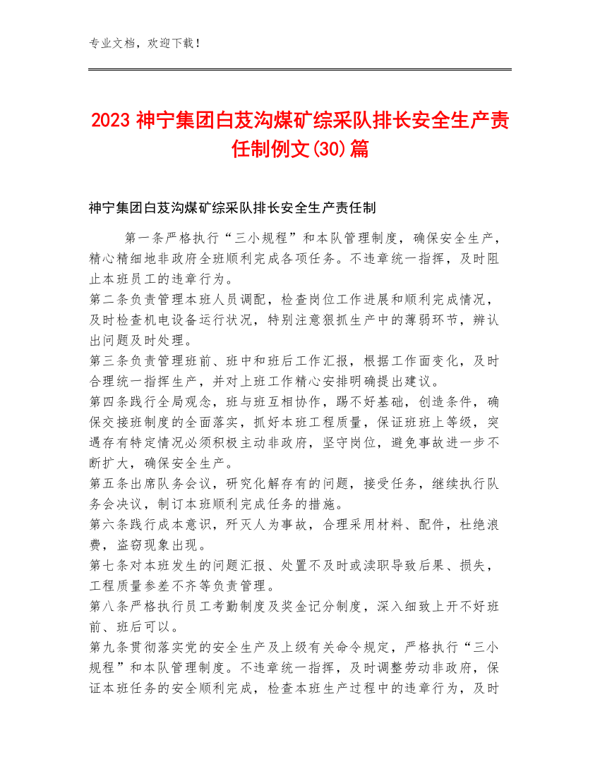 2023神宁集团白芨沟煤矿综采队排长安全生产责任制例文(30)篇