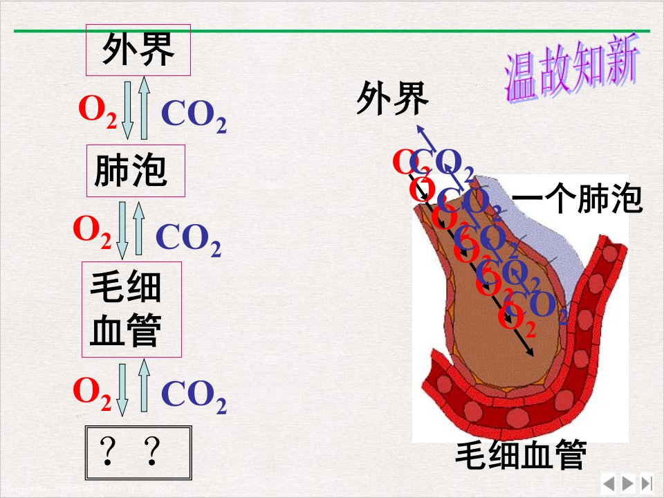 生物呼吸和呼吸作用时完整版课件