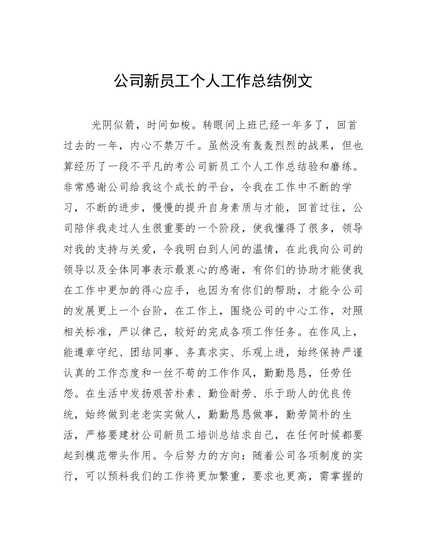 公司新员工个人工作总结例文