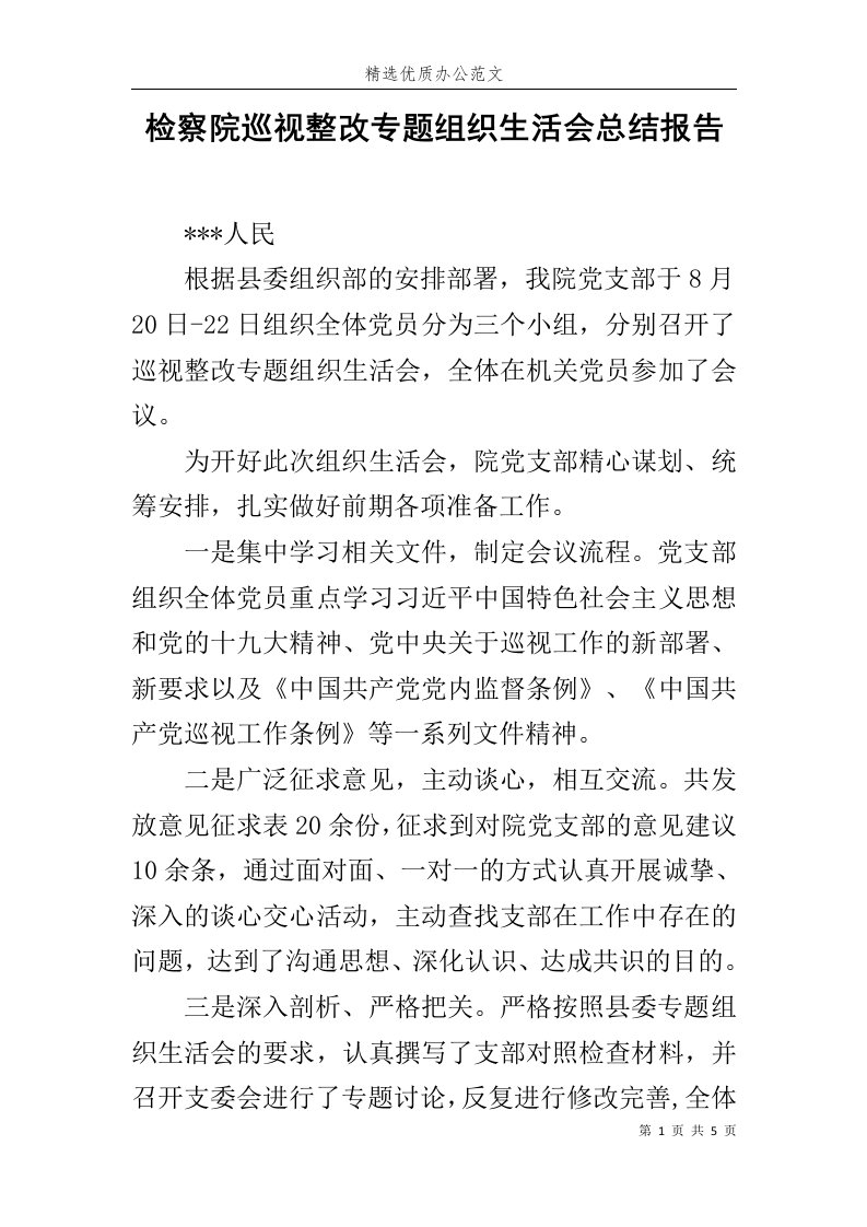 检察院巡视整改专题组织生活会总结报告范文