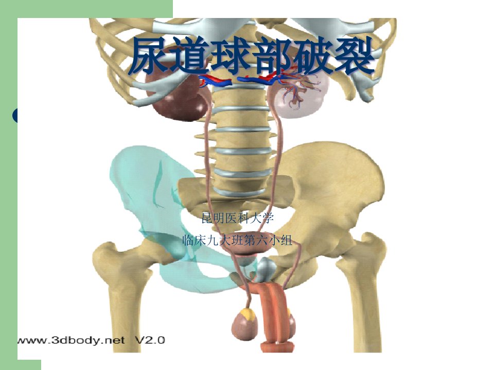 尿道球部破裂