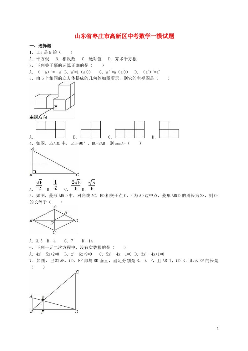 山东省枣庄市高新区中考数学一模试题（含解析）