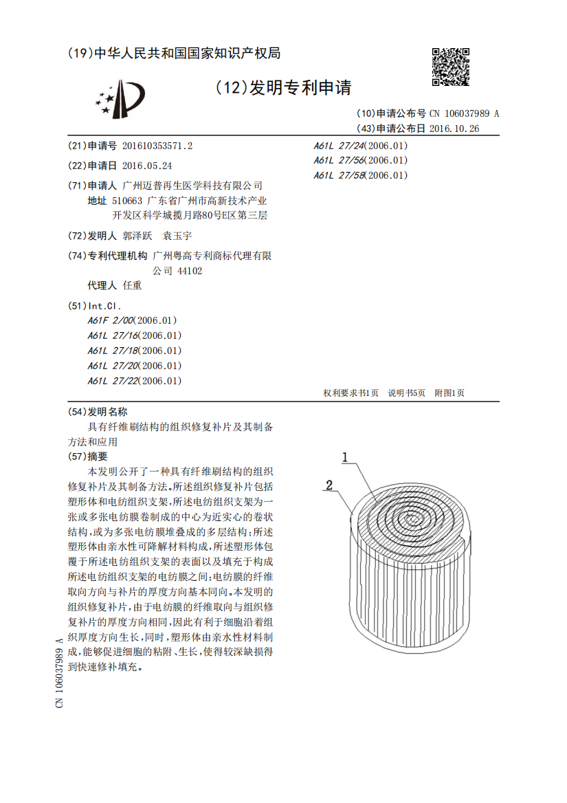 具有纤维刷结构的组织修复补片及其制备方法和应用