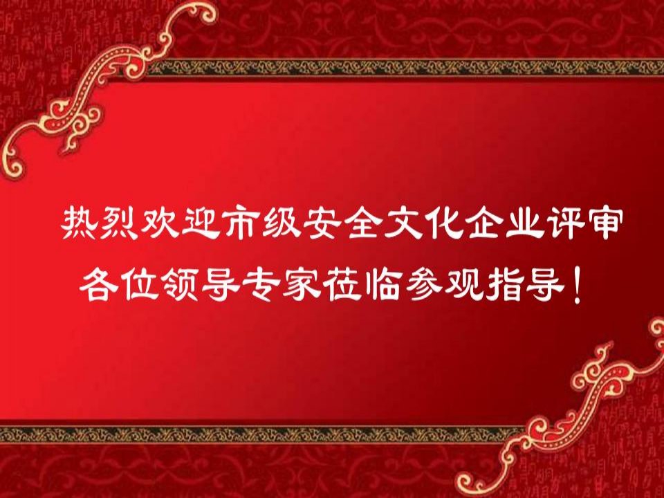 安全文化示范企业创建汇报精编版