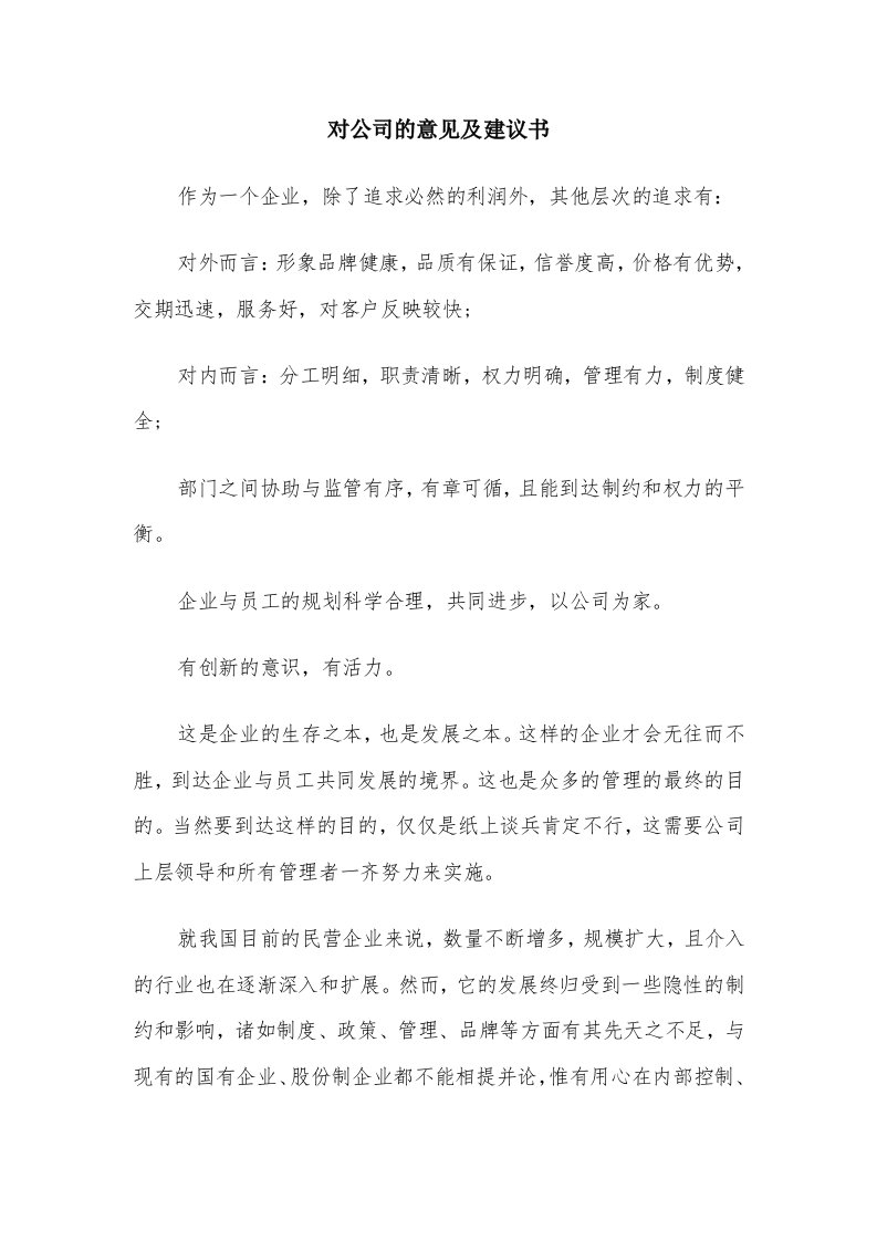 对公司的意见及建议书