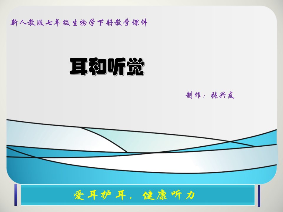 生物人教版七年级下册初中生物课件—耳和听觉