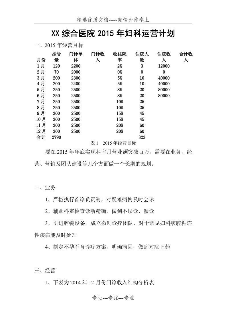 民营医院妇科运营计划(共6页)