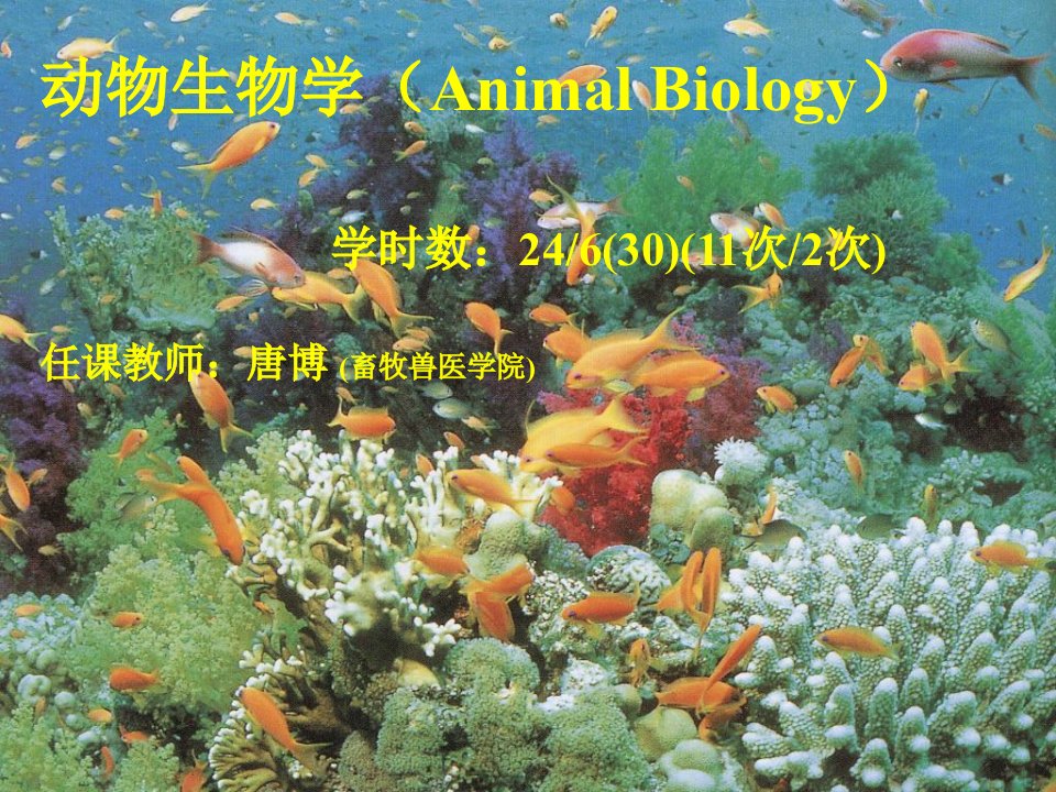 动物生物学绪论课件