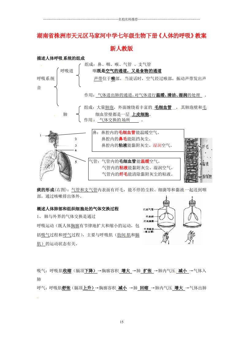 湖南省株洲市天元区马家河中学初中七年级生物下册《人体的呼吸》名师精选教案