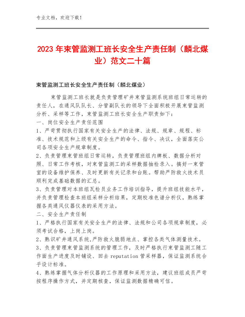 2023年束管监测工班长安全生产责任制（麟北煤业）范文二十篇