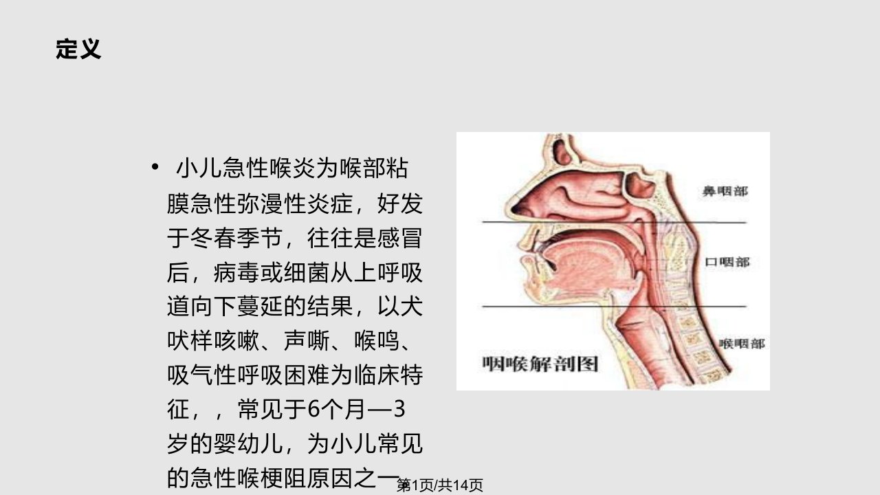 小儿急性喉炎的护理PPT课件