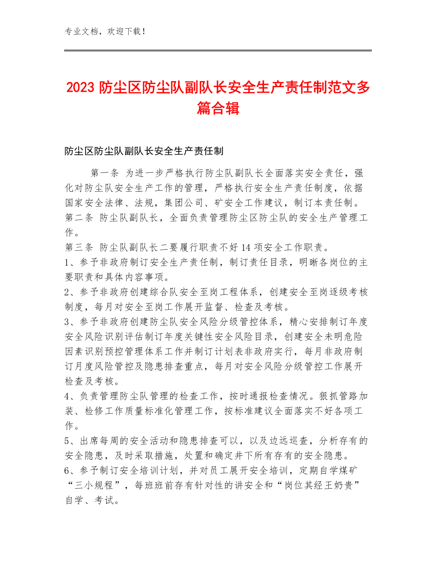 2023防尘区防尘队副队长安全生产责任制范文多篇合辑