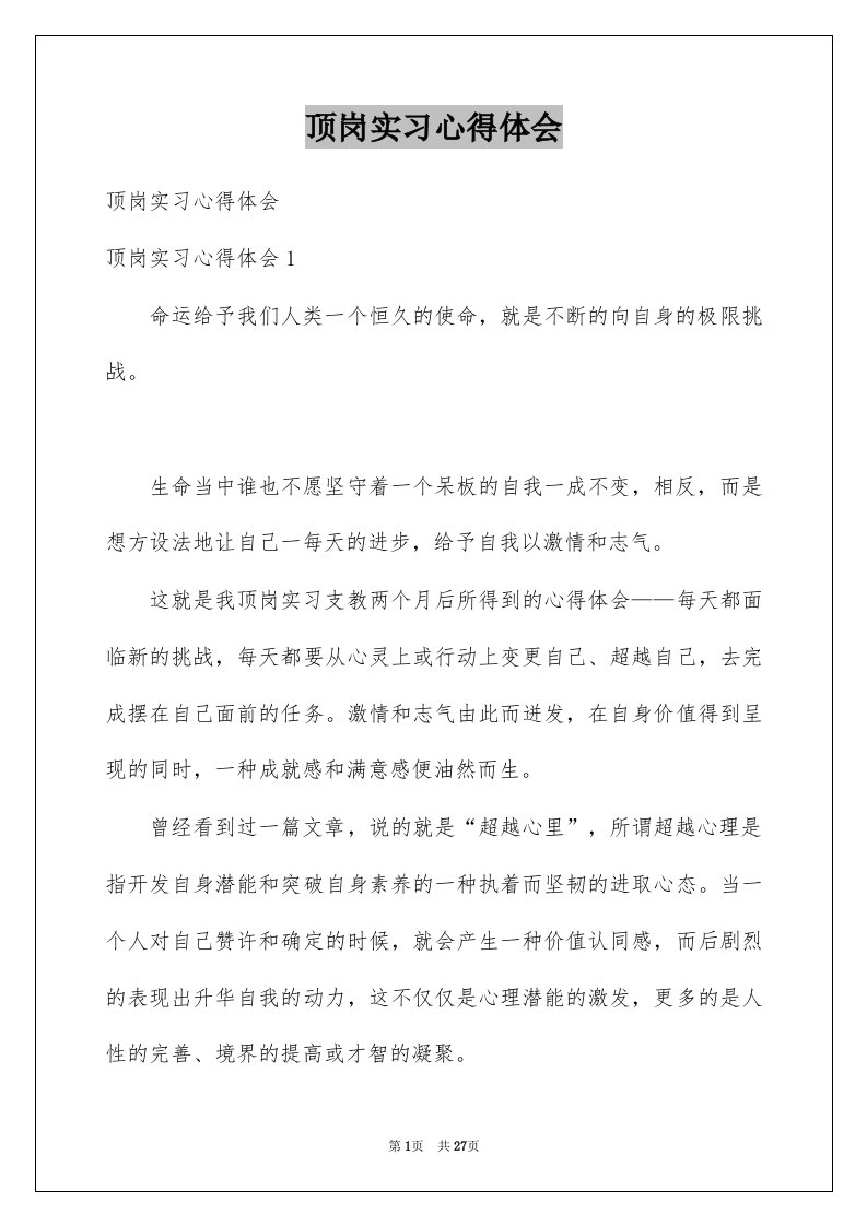 顶岗实习心得体会例文7