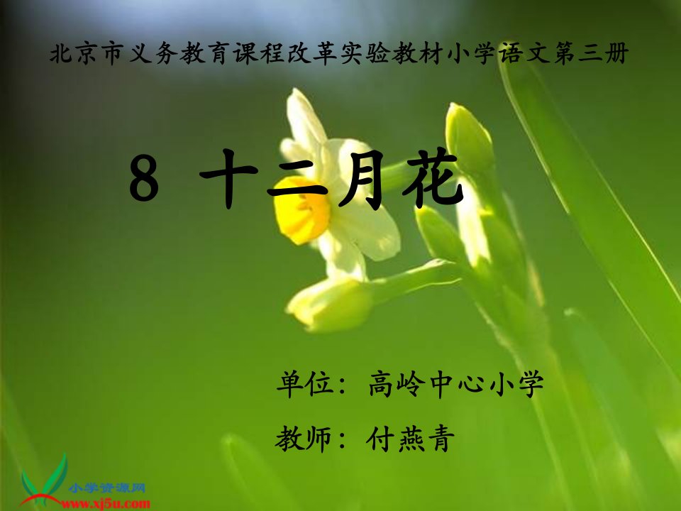 北京版二年级上册《十二月花》