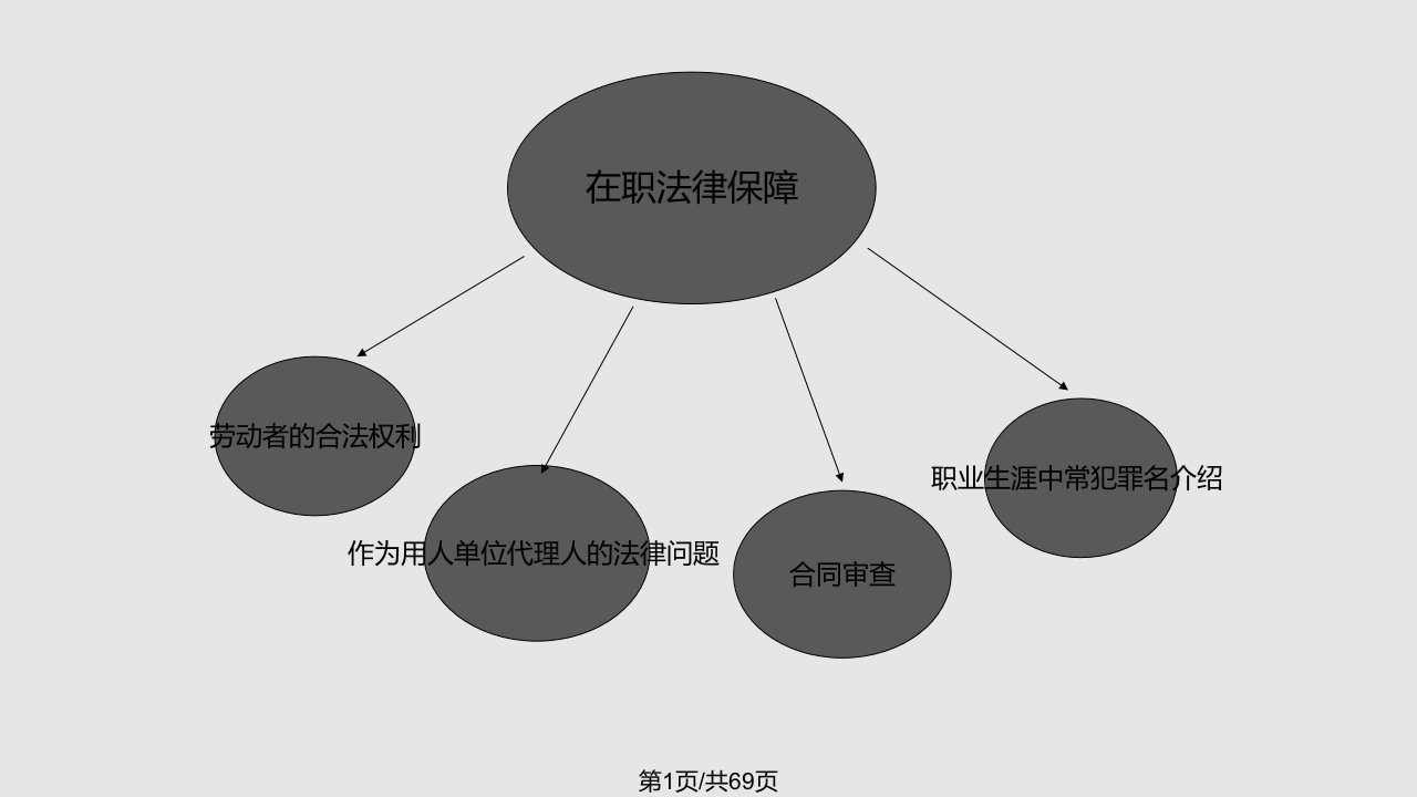 职业生涯法律保障PPT课件