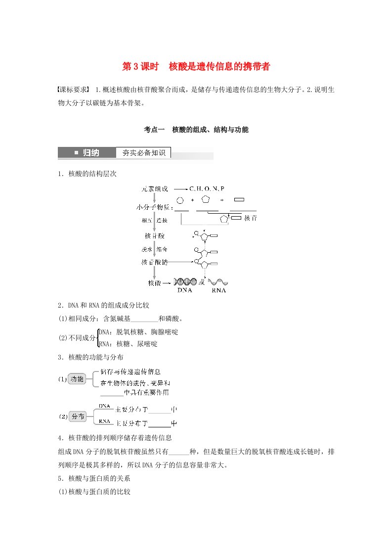 2024届高考生物一轮复习学案第一单元细胞的分子组成第3课时核酸是遗传信息的携带者苏教版